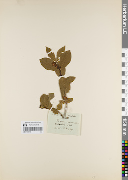 LE 01180153