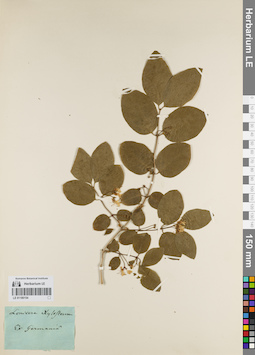 LE 01180154