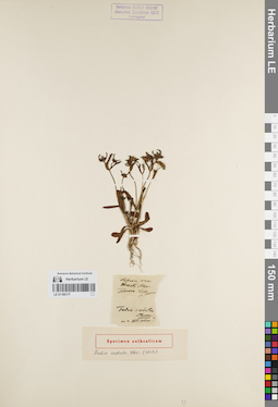 LE 01180177