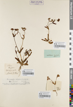 LE 01180197
