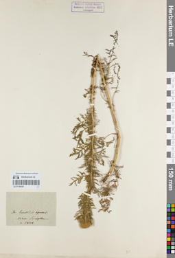 LE 01180301