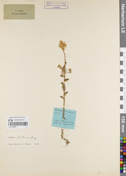 LE 01180320