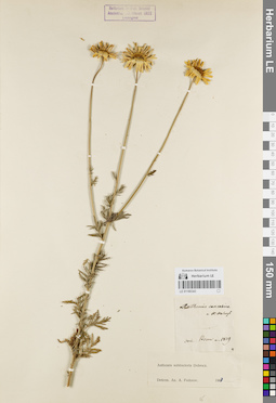 LE 01180343