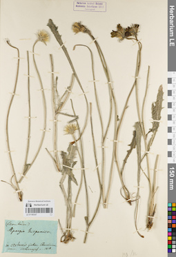 LE 01180347
