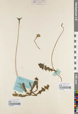 LE 01180350