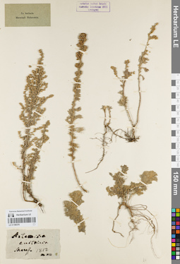 LE 01180376