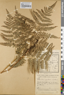 LE 01181149