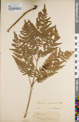 LE 01181158