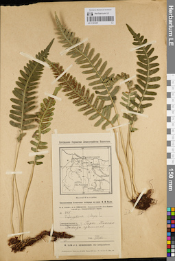 LE 01181207