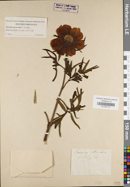 LE 01041141