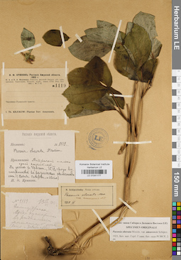 LE 01041177