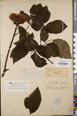 LE 01041188