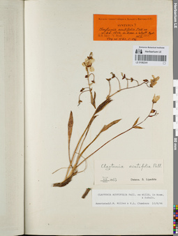 LE 01082341