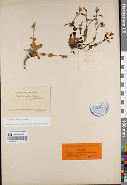 LE 01082357