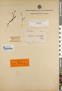 LE 01082364