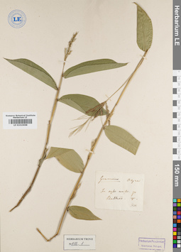 LE 01010068