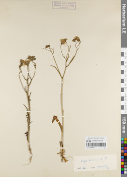 LE 01180579