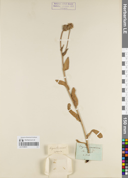 LE 01180610