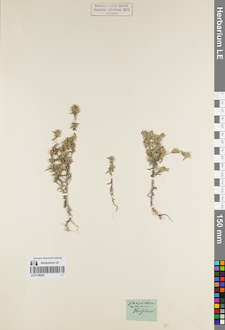 LE 01180625