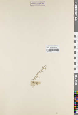 LE 01180626