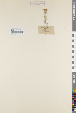 LE 01180631
