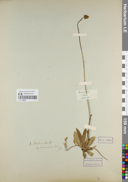 LE 01180644