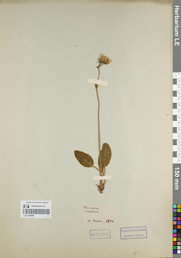 LE 01180669
