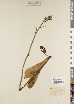 LE 01180673