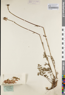 LE 01180691