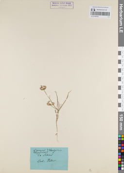LE 01180702