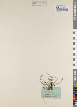LE 01180704