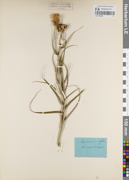 LE 01180709