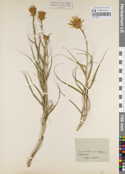 LE 01180711