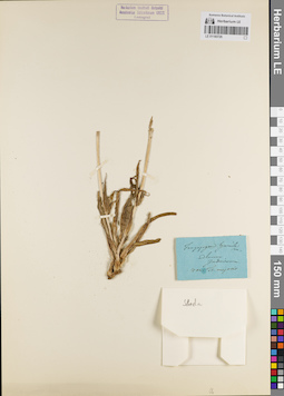 LE 01180726