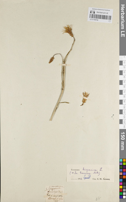 LE 01180742