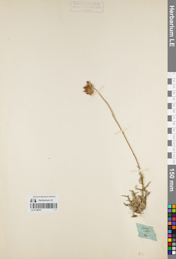 LE 01180797