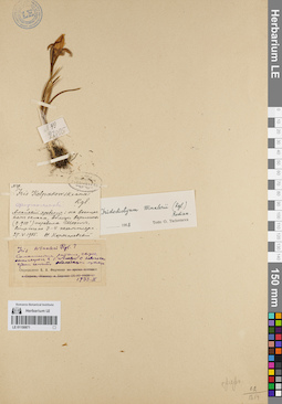 LE 01150871