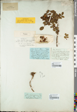 LE 01161807
