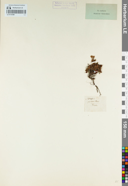 LE 01161989