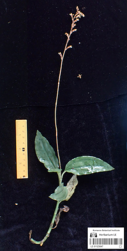 LE 01123047