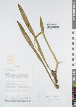 LE 01167578