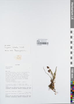 LE 01167579