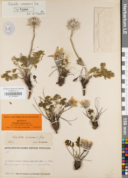 LE 01040933
