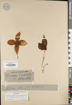 LE 01040972