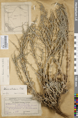 LE 01181490