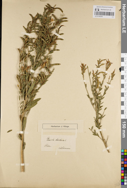 LE 01181578