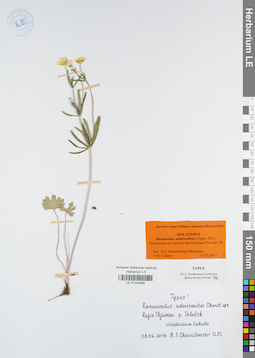 LE 01040986