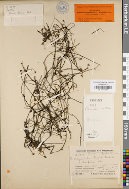 LE 01041047