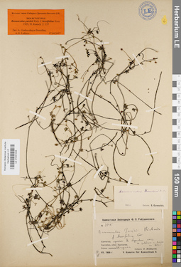 LE 01041048
