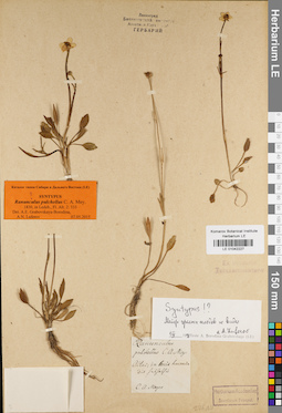 LE 01042227